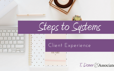 Steps to Systems – Client Experience