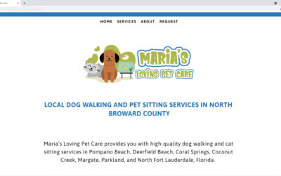 Case Study Pet Sitter