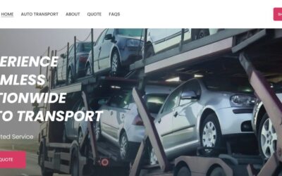 Case Study Auto Transport Company